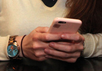 В прошлом году число россиян, чьи электронные средства платежа — банковские карты, интернет-кошельки и другие платёжные инструменты — были использованы для проведения незаконных операций, превысило 800 тыс