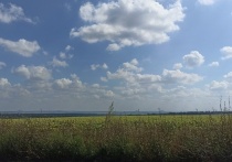 Показатель превышает прошлогодний