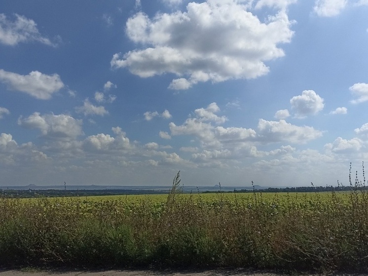 Более 290 тысяч га полей ЛНР засеяли аграрии озимыми культурами