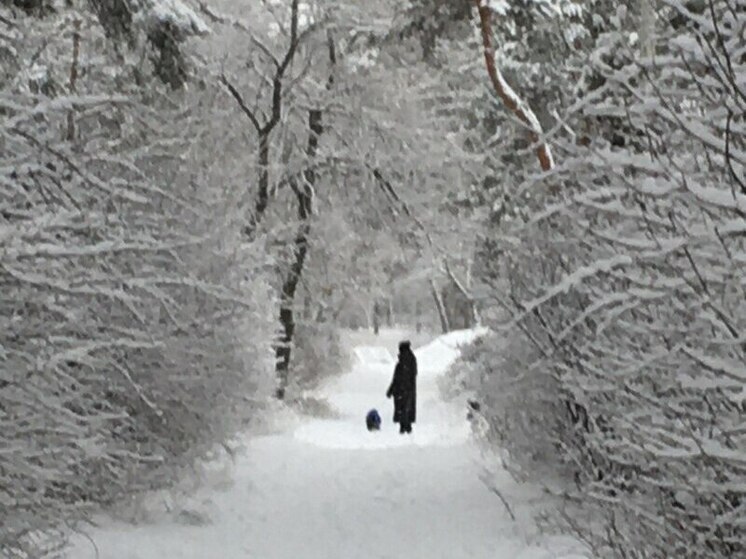 В парках «Танаис» и «Дельфин» открылись пункты проката лыж и тюбингов