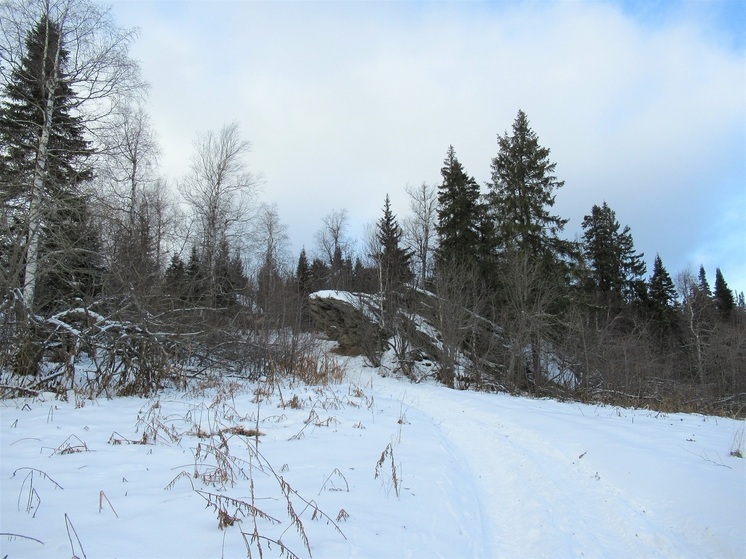 Более 1300 человек пропали в Свердловской области в 2025 году