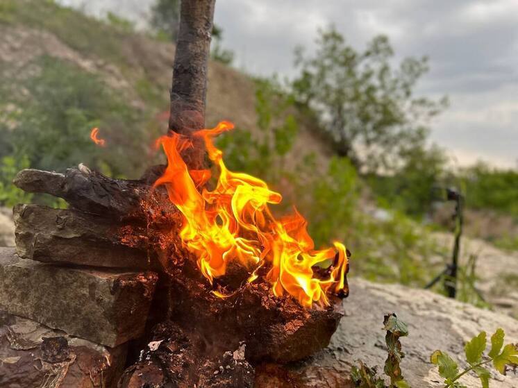 В Куропте произошел пожар на несанкционированной свалке