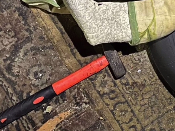 В Калуге после новогодней ночи нашли труп в курятнике