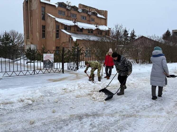 Почти 12 тысяч волонтеров вышли на массовый снежный субботник в Тульской области