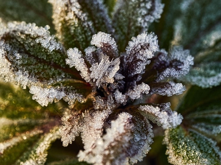 Тридцатиградусные морозы ударят в Томске 11 января