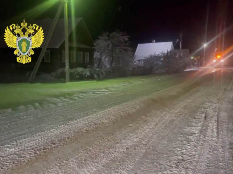 Прокуратура Ленобласти следит за состоянием дорог в снегопады