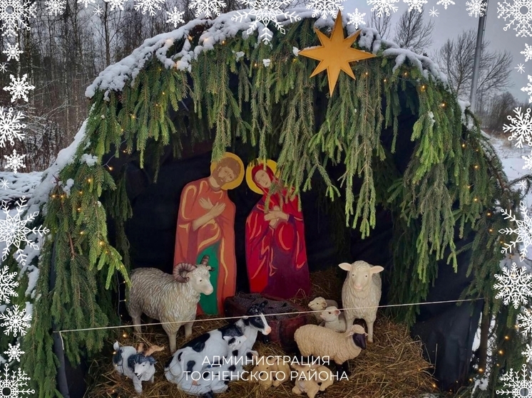 В храмах Тосненского района установили вертепы