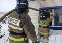 10 января около 13:20 диспетчер пожарно-спасательной части №119 получил сообщение о возгорании на улице Максима Горького в районном центре Клявлино