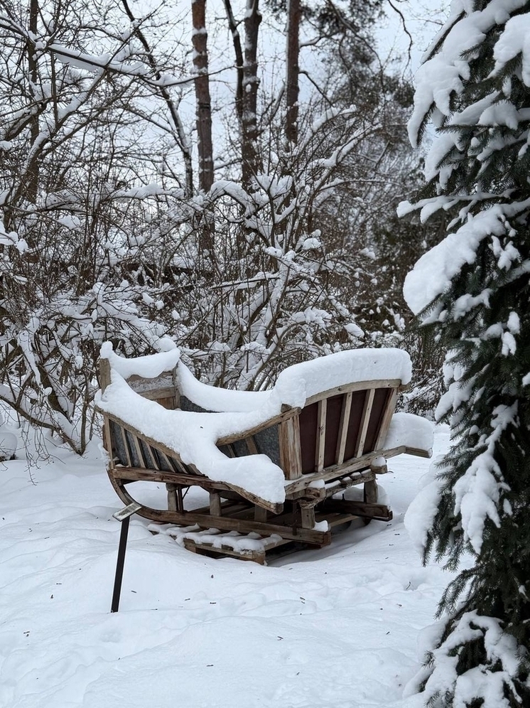 В саду Ракицкого в Тарусе разместили экспозицию саней