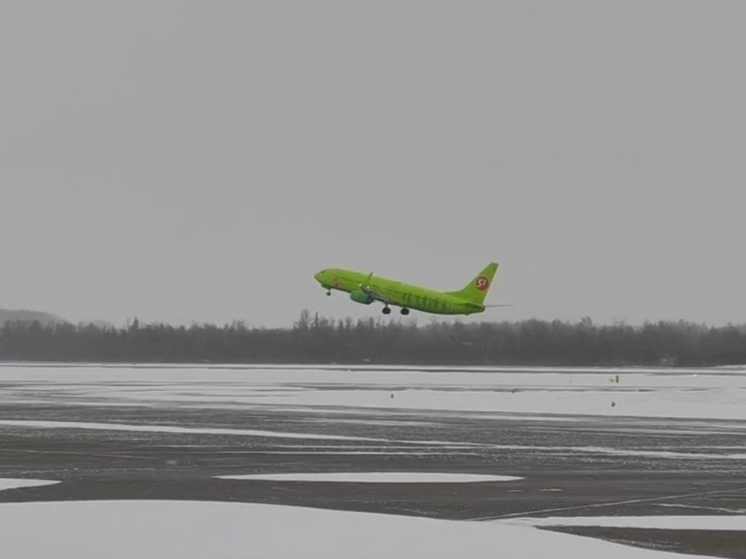 В Пулково опровергли слухи о том, что самолет застрял в сугробе