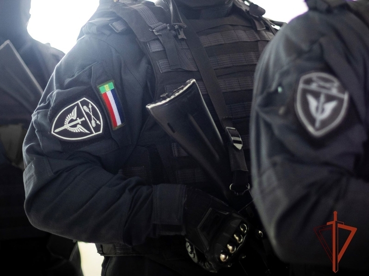 В прошлом году сотрудники спецподразделений СОБР «Сапсан» и ОМОН «Монолит» Росгвардии по Хакасии вместе с полицейскими задержали больше 430 подозреваемых в совершении преступлений и административных правонарушений