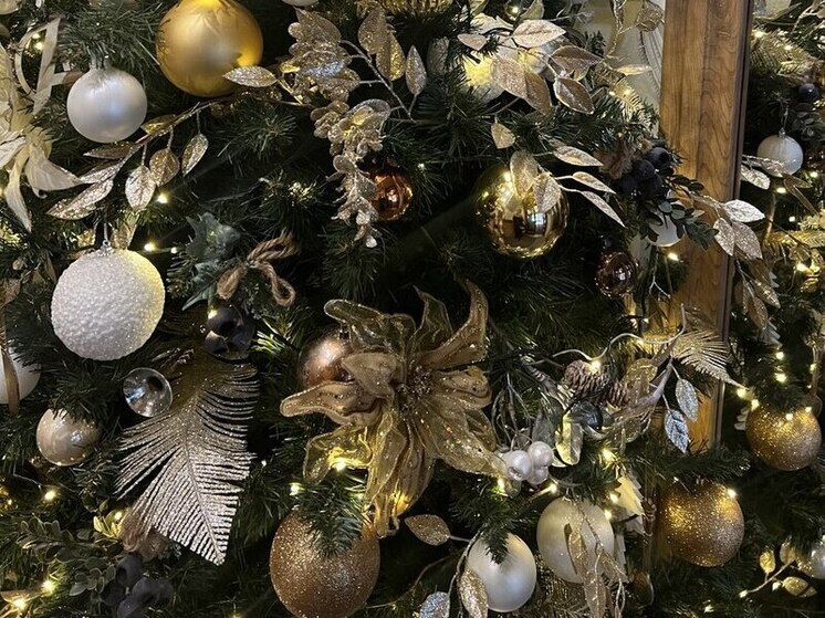 Ученые Ставрополья предупреждают: салюты наносят серьезный вред популяции птиц