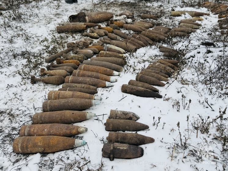 В Белгородском округе нашли арсенал времен Великой Отечественной войны