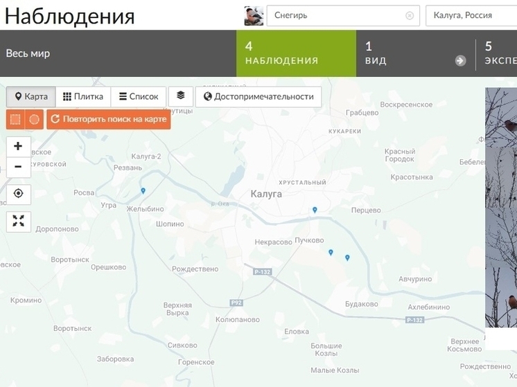 Калужский орнитолог предлагает активно наблюдать за зимующими птицами