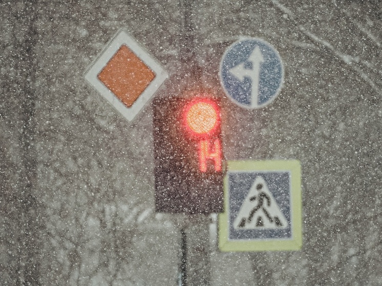 Водителей Тульской области призывают избегать резких маневров из-за снегопада