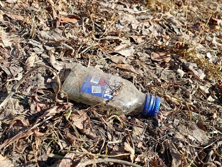 16 водителей в состоянии алкогольного опьянения выявили в Зауралье