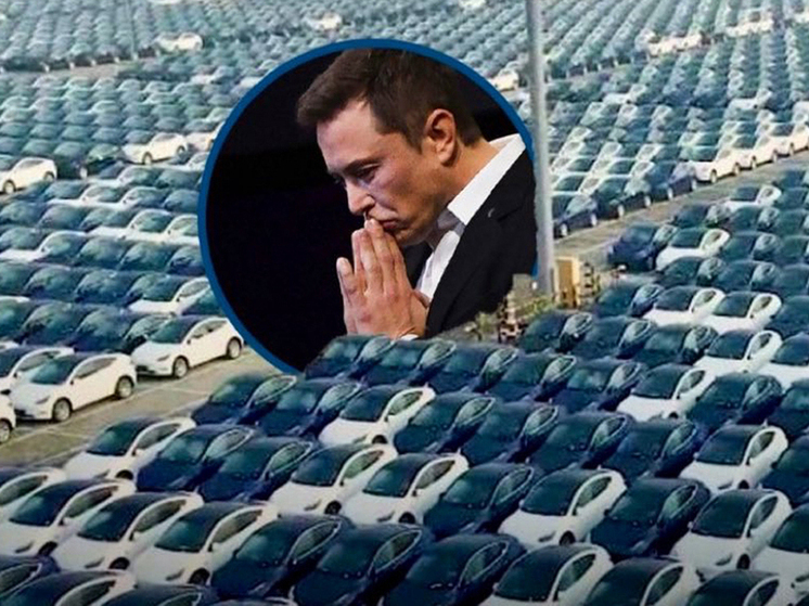 Германия — Tesla пала: рынок электрокаров под контролем немцев