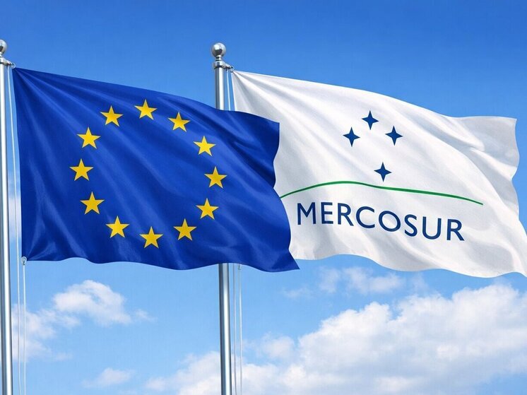 Германия — ЕС и МЕРКОСУР: брак по расчету после 25 лет свиданий