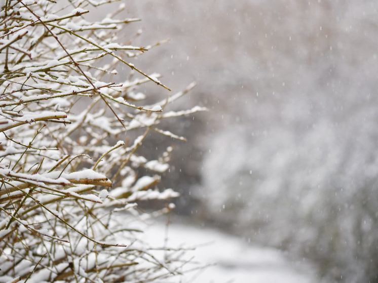 Неделя погодных контрастов: Тамбов ждут дождь, слякоть и резкое похолодание