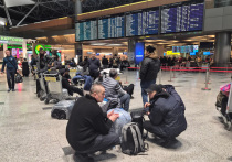 Стремление устроить себе в новогодние праздники мини-отпуск и отправиться куда-то в путешествие (или попросту навестить родных в другом городе!) для многих москвичей обернулось колоссальными проблемами