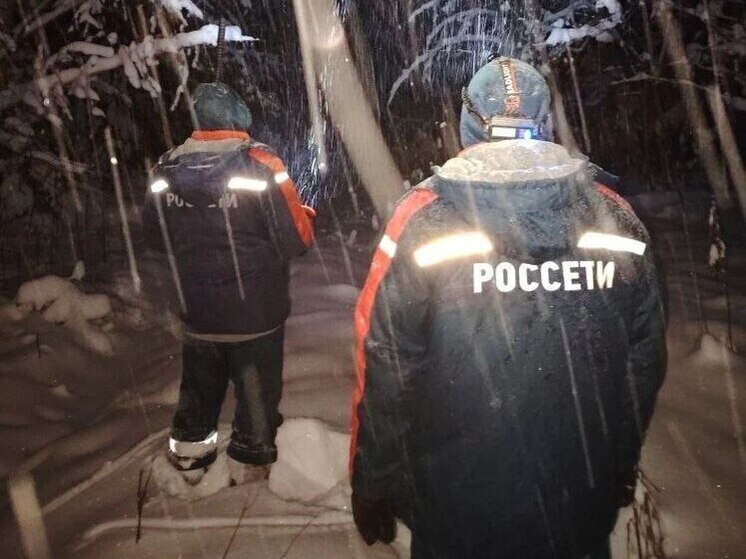 Энергетики «Ярэнерго» восстановили электроснабжение потребителей после сильного снегопада