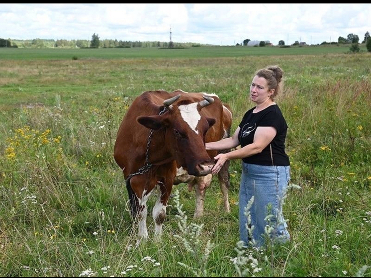В Смоленской области количество заключенных соцконтрактов выросло на 18%