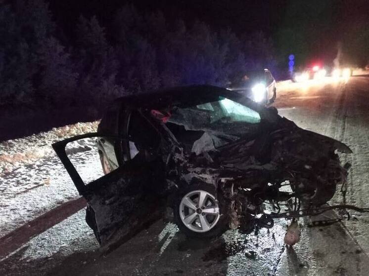 Пять человек пострадали в крупной аварии под Мурманском