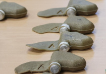 Финляндия закусила удила