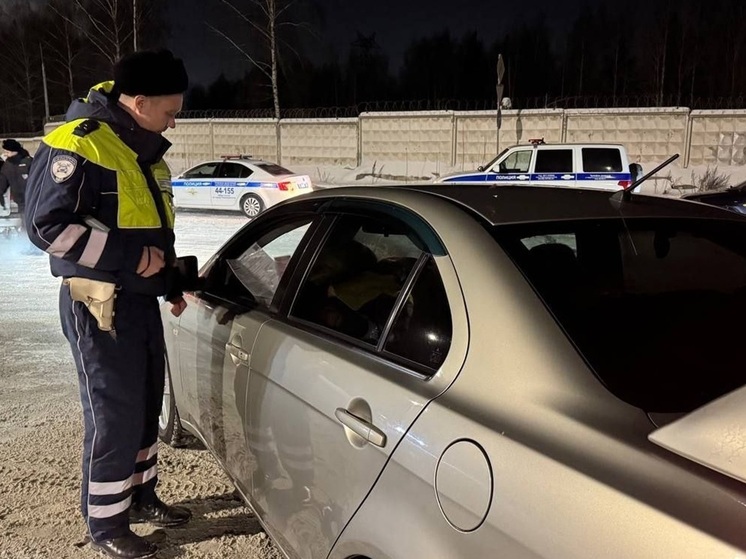 16 пьяных водителей выявили за сутки свердловские инспекторы ДПС