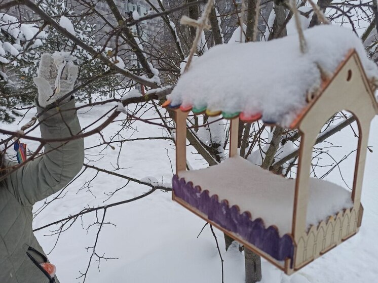 Смертельная опасность может накрыть сверху жителей Владимирской области