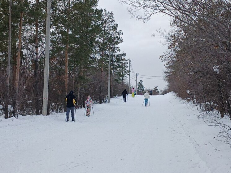 Как плавно вернуть активность в жизнь после долгих праздников