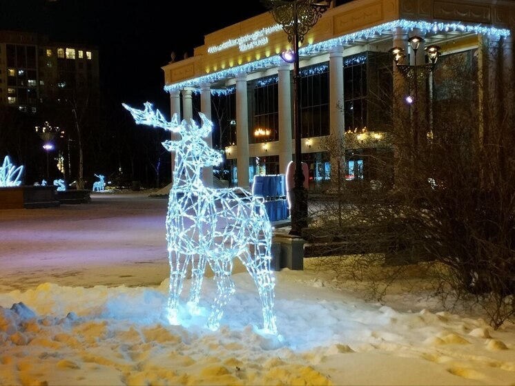 Метель и штормовой ветер до 25 м/с: какая погода ждёт сахалинцев 11 января