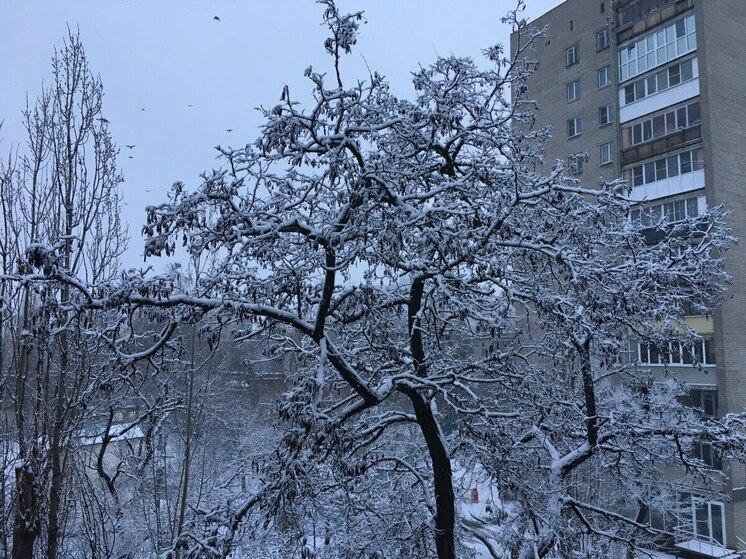 Вечером 10 января к Воронежской области приблизились БПЛА