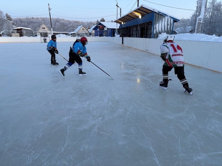 Юные хоккеисты сыграли товарищеский матч ко Дню дворового хоккея