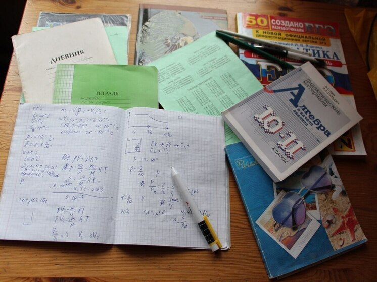 В интернете и медиа регулярно появляются громкие утверждения, которые быстро уходят в народ и начинают жить своей жизнью. Одно из них — идея о том, что беспорядок дома якобы говорит о высоком интеллекте хозяина.