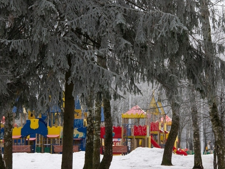 Тульские врачи выпустили секретный «чек-лист» по безопасным зимним развлечениям