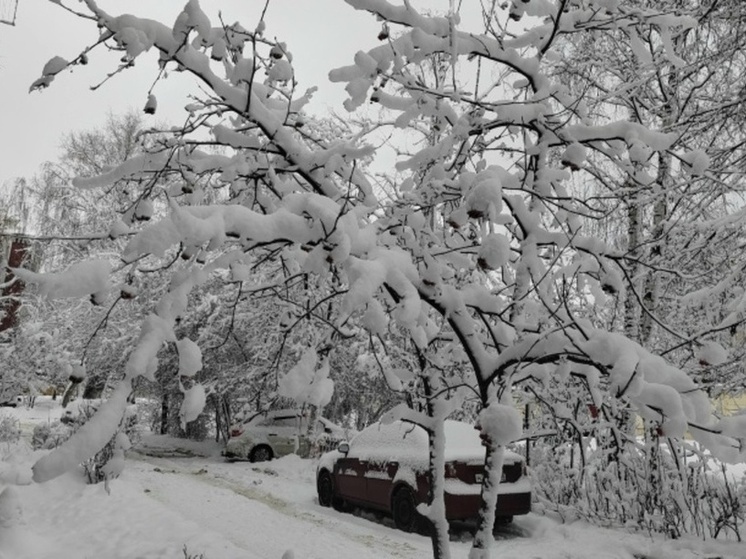Снегопад со штрафом: в Тамбове оштрафовали почти 70 нарушителей за неубранные дворы