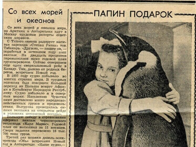 Музей Океана приглашает калининградцев на выставку об антарктических экспедициях