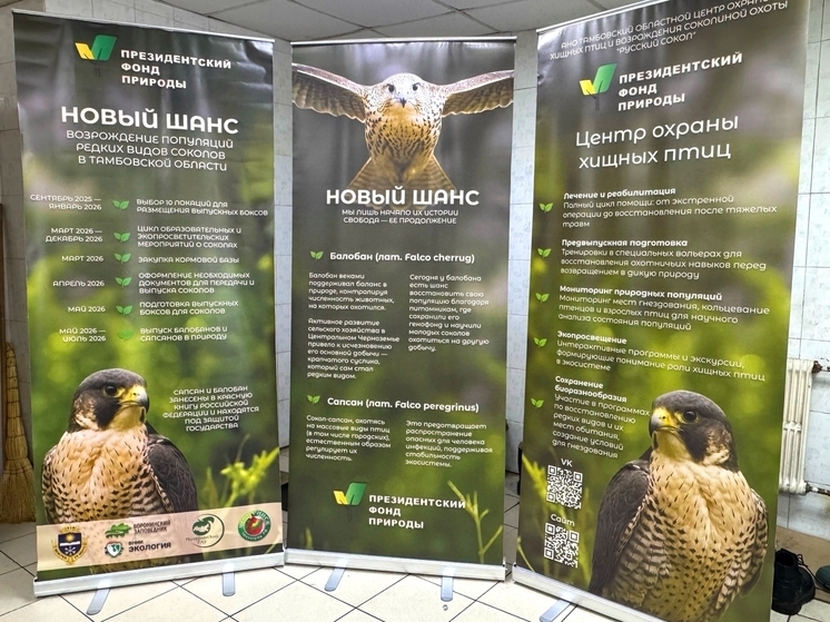 В Тамбовской области стартует новый этап экопросвещения