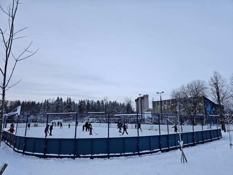 В Гатчине заработал каток