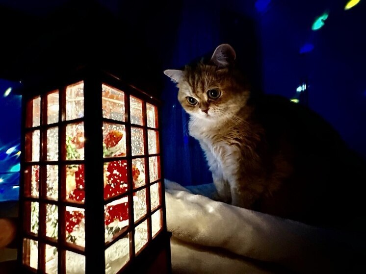 Беспилотную опасность объявили в Рязанской области вечером 10 января