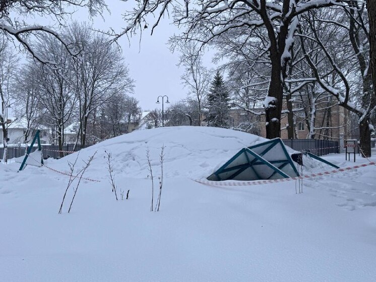 После обильного снегопада в парке Щекино обрушился павильон