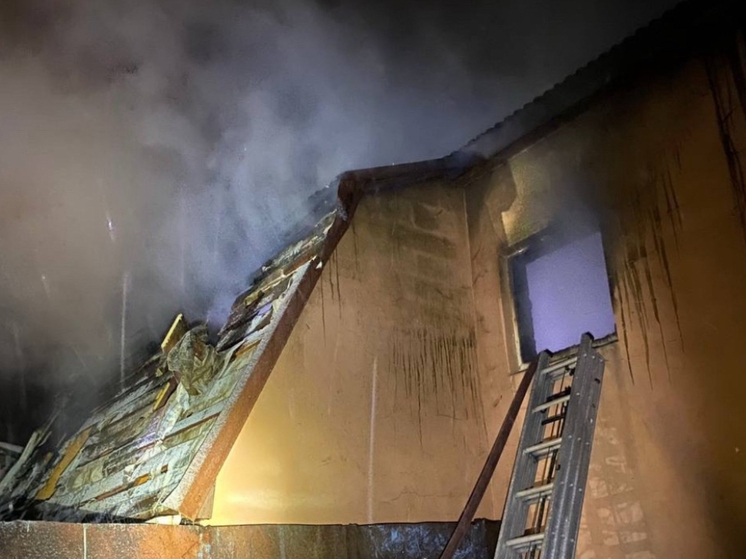 Ночной пожар уничтожил баню в Ельниковском районе Мордовии