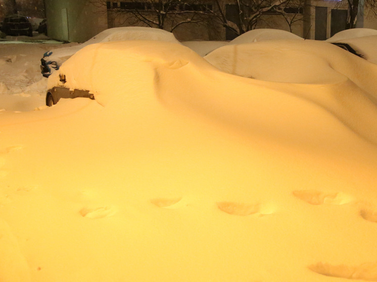 В Москве высота снежных заносов в результате интенсивных осадков достигла 38 сантиметров