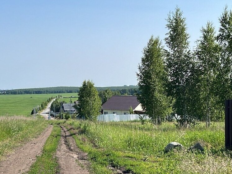 Оренбургская область в 2025 году подтвердила статус одного из главных хлебных регионов России, отправив на экспорт огромную партию зерна