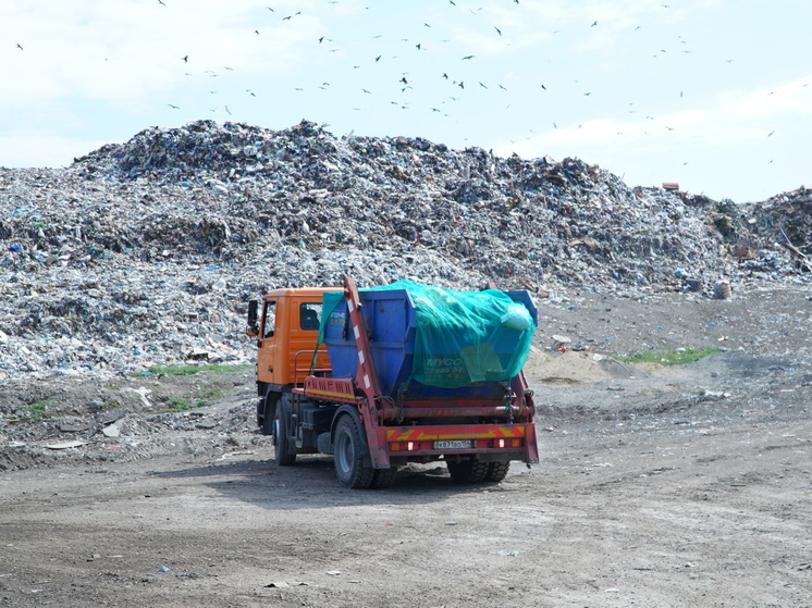 Стоимость рекультивации двух крупнейших свалок под Новосибирском оценили минимум в 2 млрд рублей