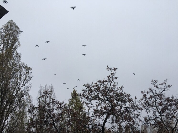 Угрозу атаки БПЛА на Воронежскую область отменили в три часа ночи