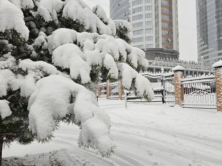 Морозы до -40 градусов прогнозируют в Новосибирской области в середине января