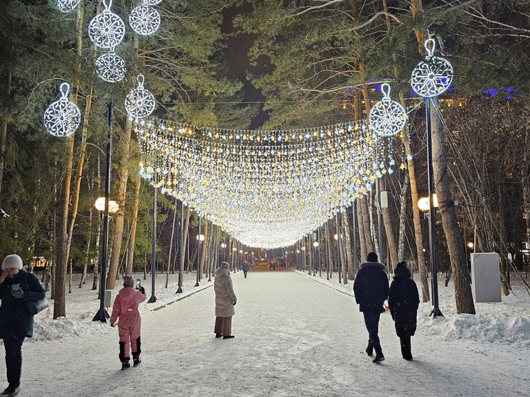 Новосибирский фестиваль пельменей закончился ажиотажем и очередями за бесплатным угощением