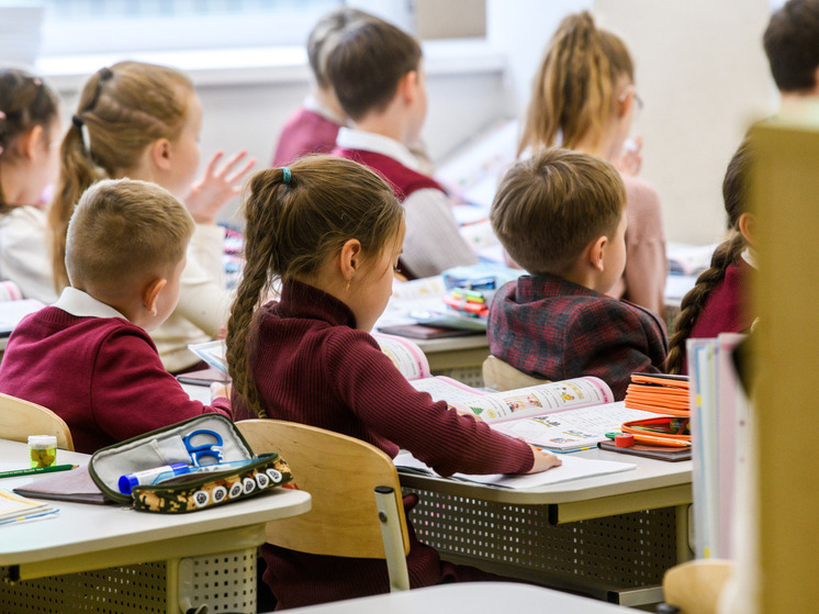 Во Владивостоке объявили свободное посещение школ и детсадов 12 января